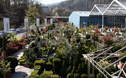 Bacher Outdoor Living Garten-Center